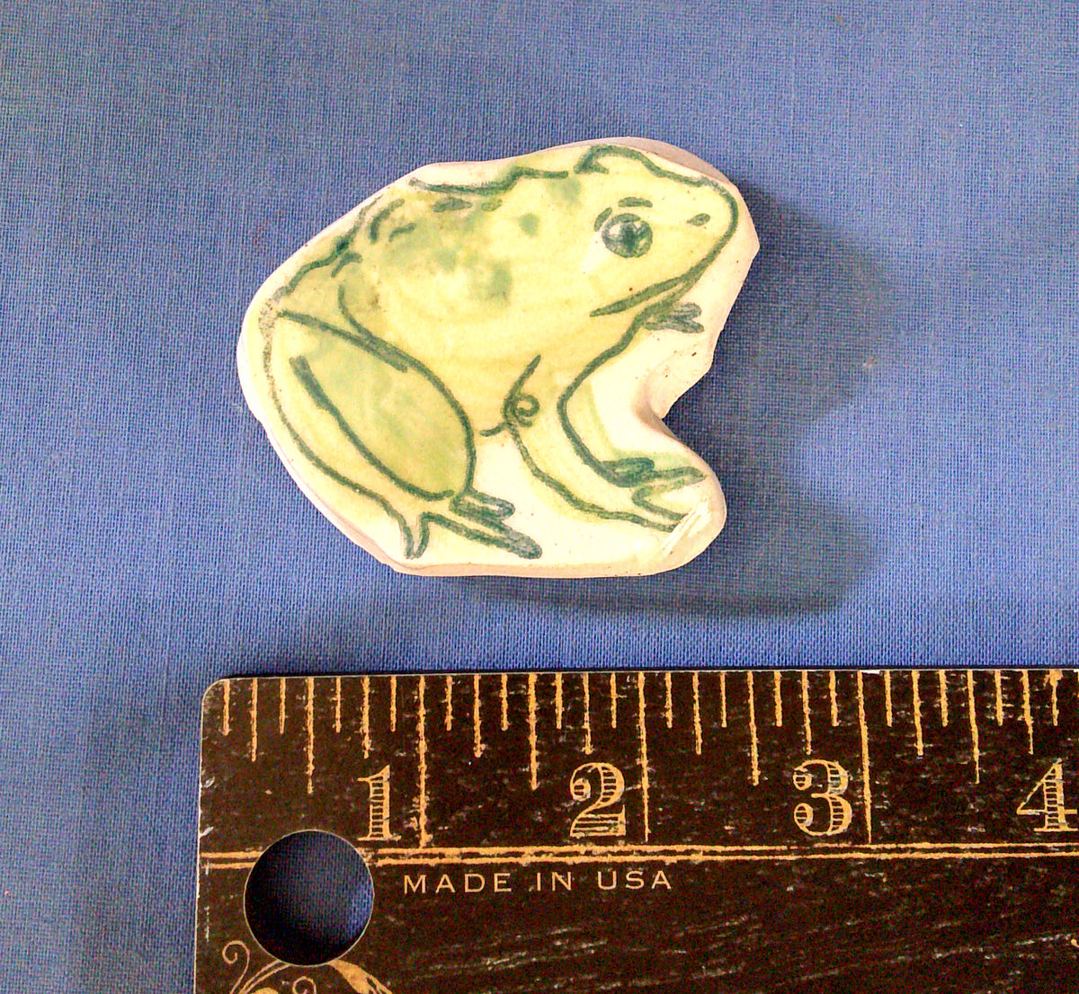 a regular frog